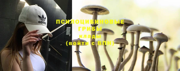 кокаин перу Аркадак