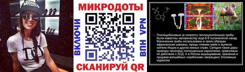 Псилоцибиновые грибы Psilocybe  Правдинск 